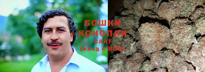 мега tor  Елизово  Каннабис White Widow  сколько стоит 